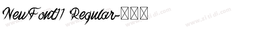 NewFont11 Regular字体转换